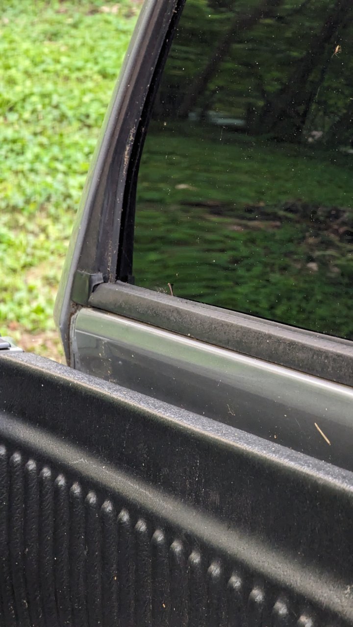 PXL_20230629_105446417.MP.jpg