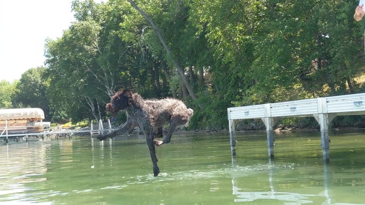 PXL_20230726_182531869_exported_12894.jpg