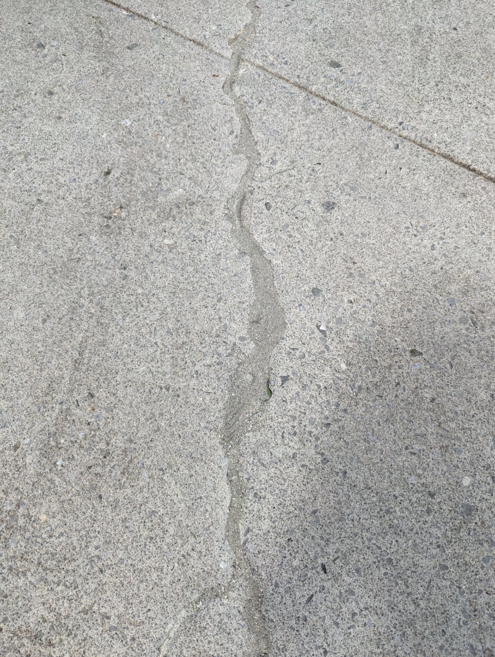 PXL_20230811_185455259.jpg