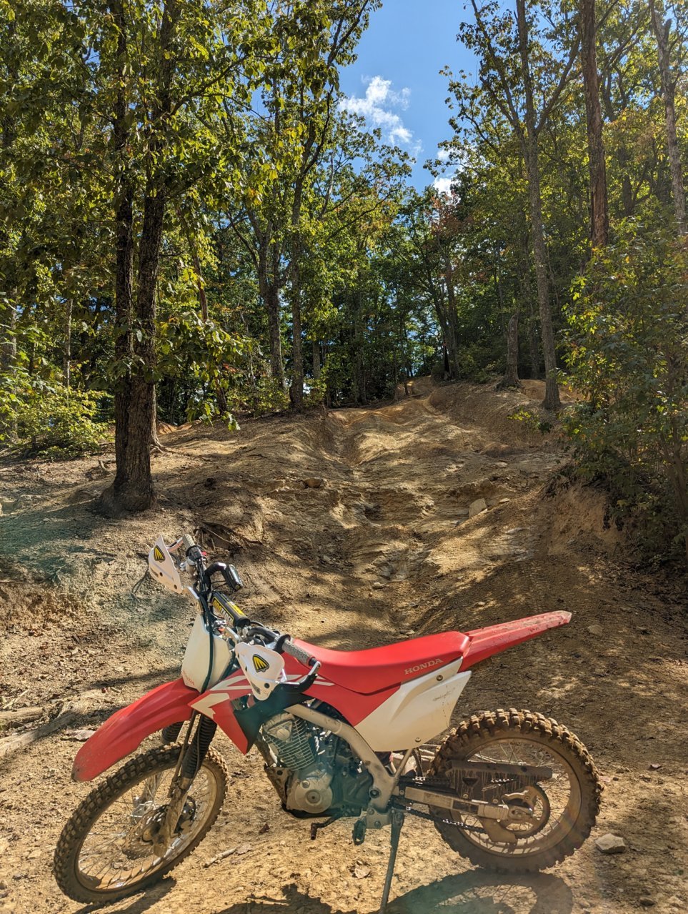 PXL_20230923_160042337.jpg