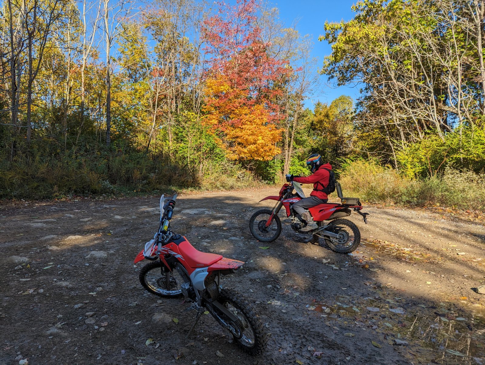 PXL_20231021_142937150.jpg