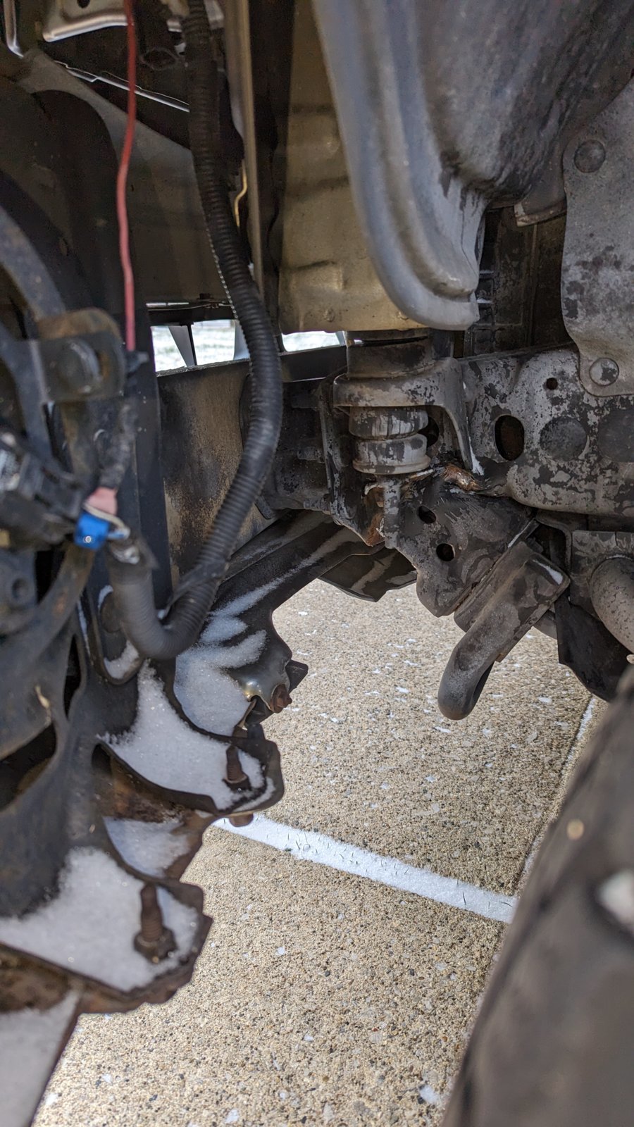 PXL_20240113_165154980[1].jpg