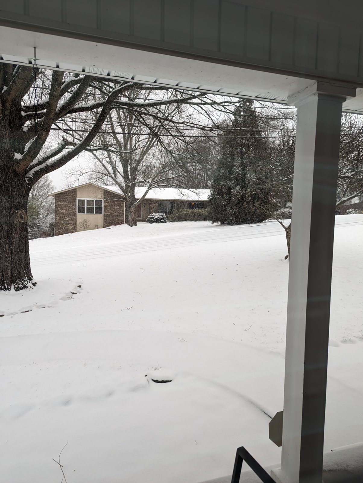 PXL_20240115_154716748.jpg