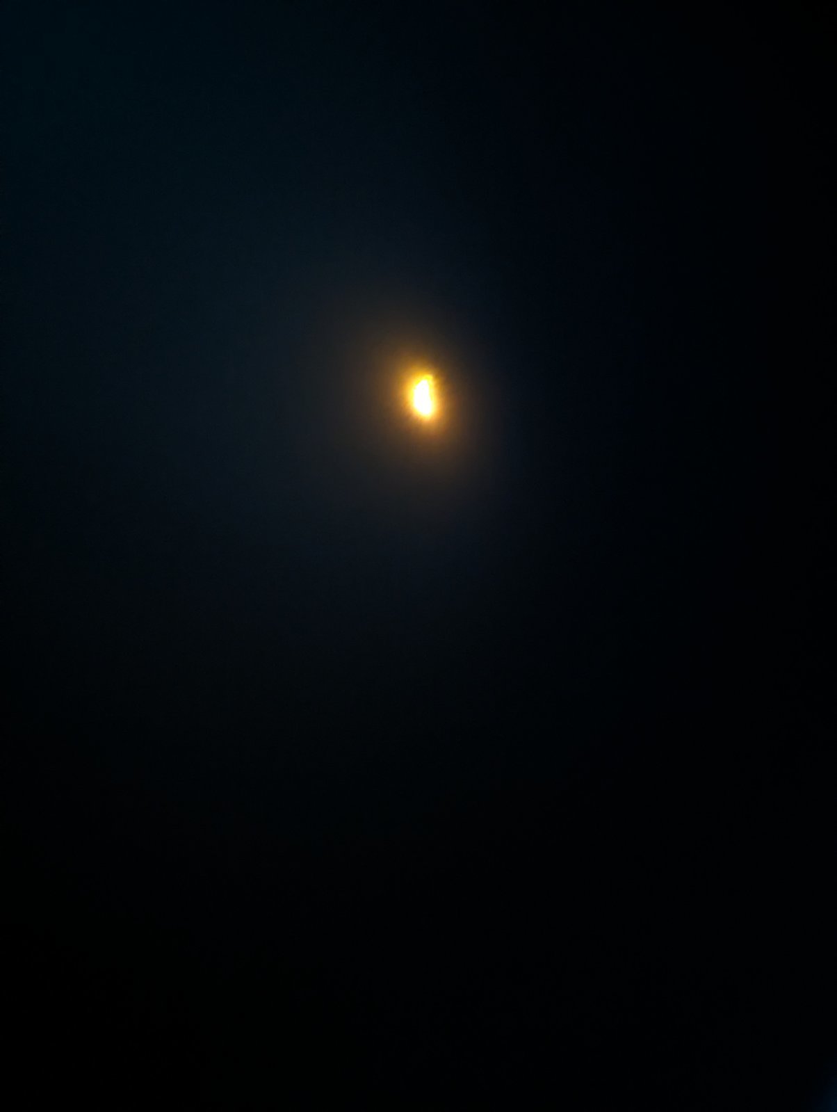PXL_20240408_184453106.jpg