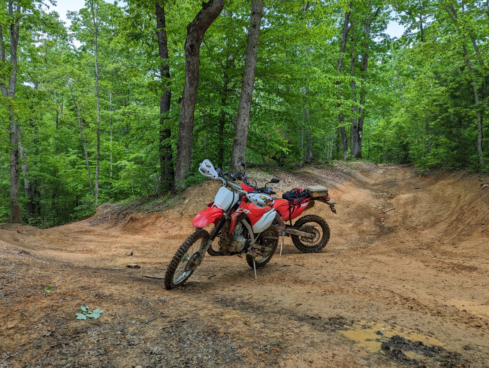 PXL_20240505_162812329.jpg