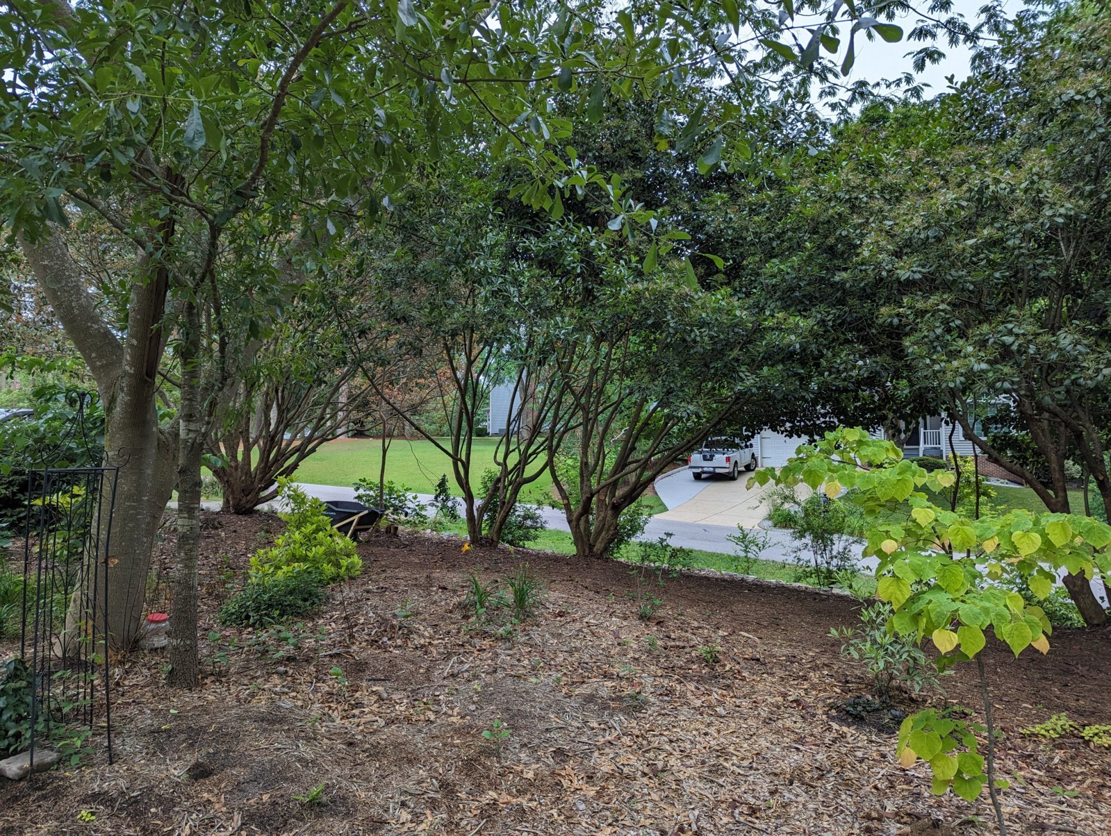 PXL_20240509_223712715.jpg
