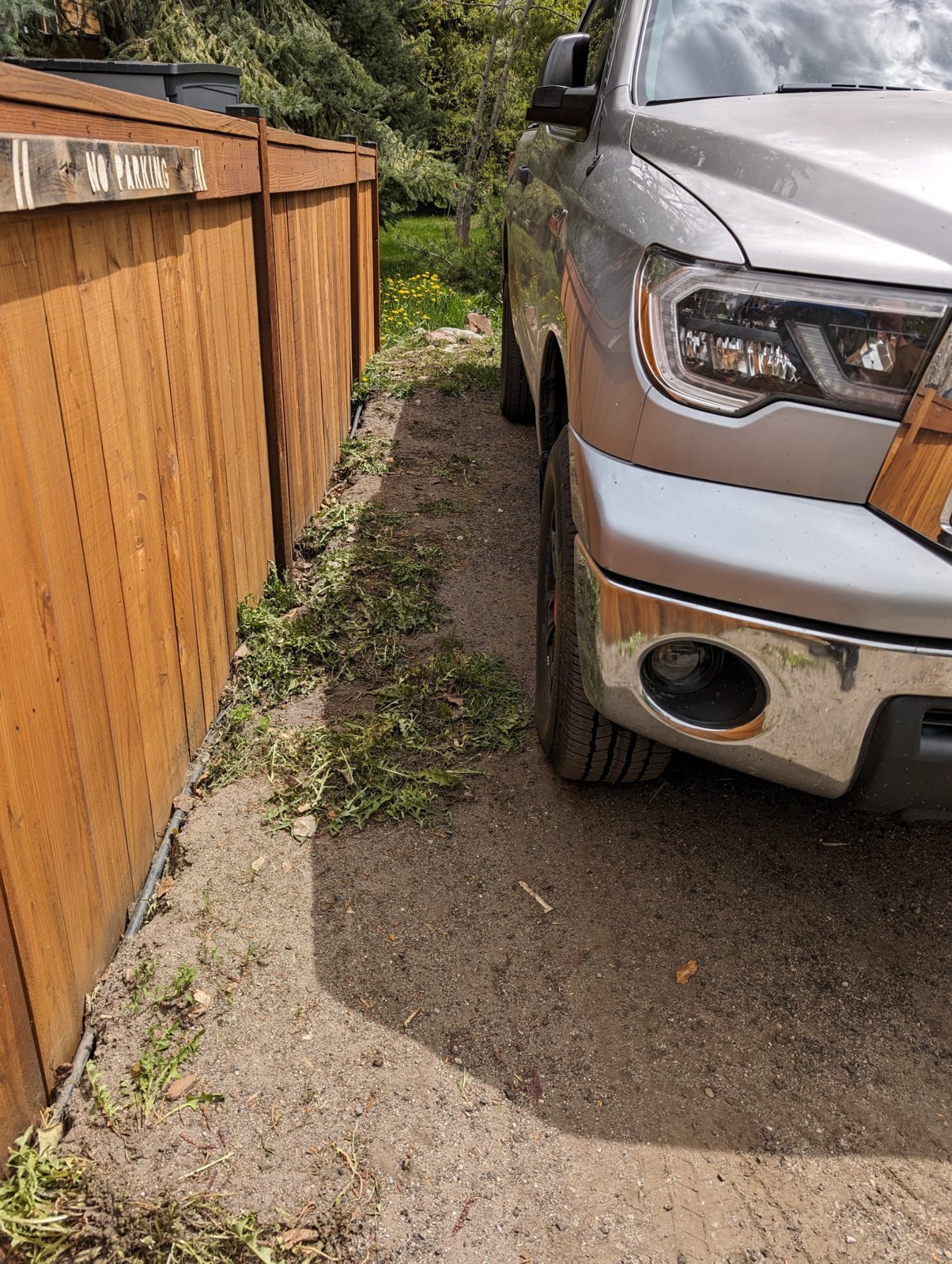 PXL_20240518_174456707.RAW-01.MP.COVER.jpg