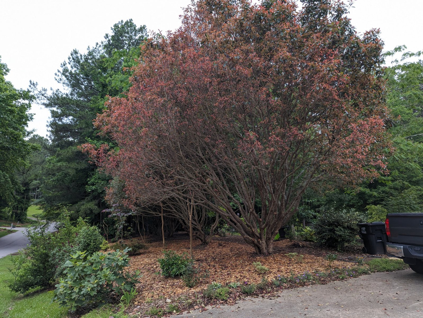 PXL_20240519_224321387.jpg