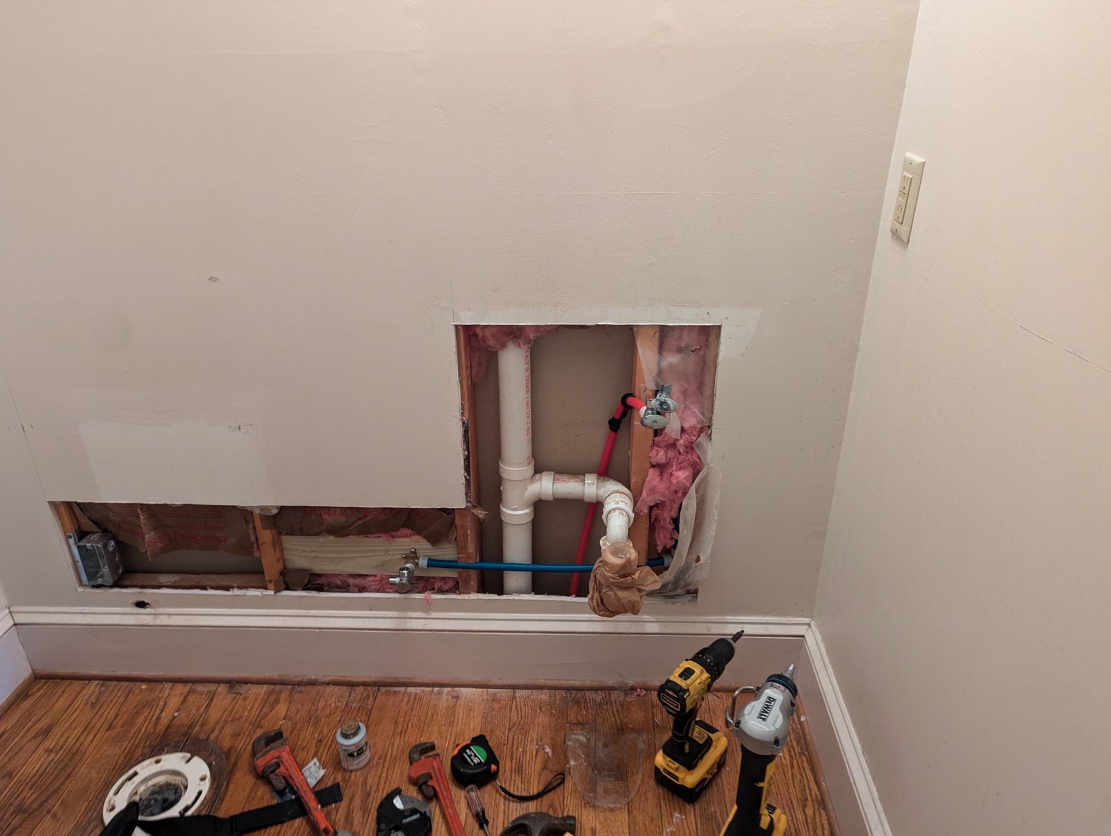 PXL_20240728_174808983.jpg