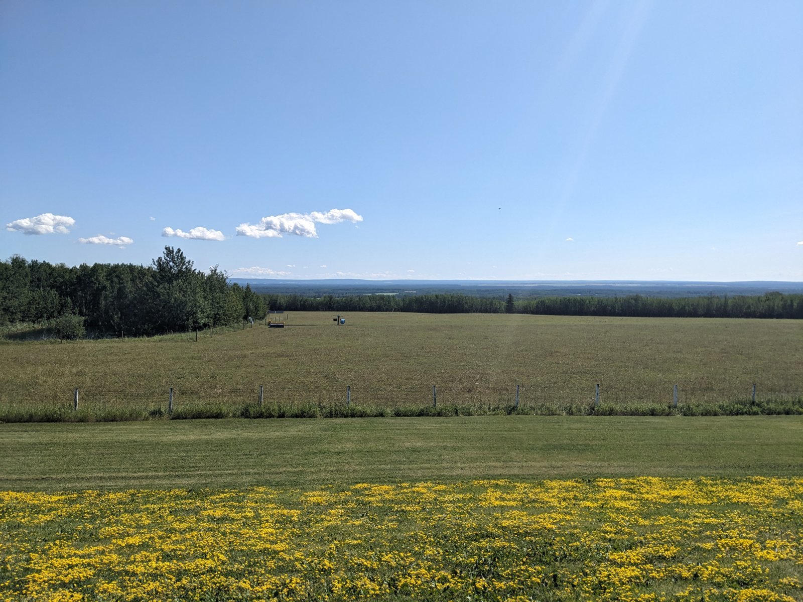 PXL_20240801_175142549.jpg