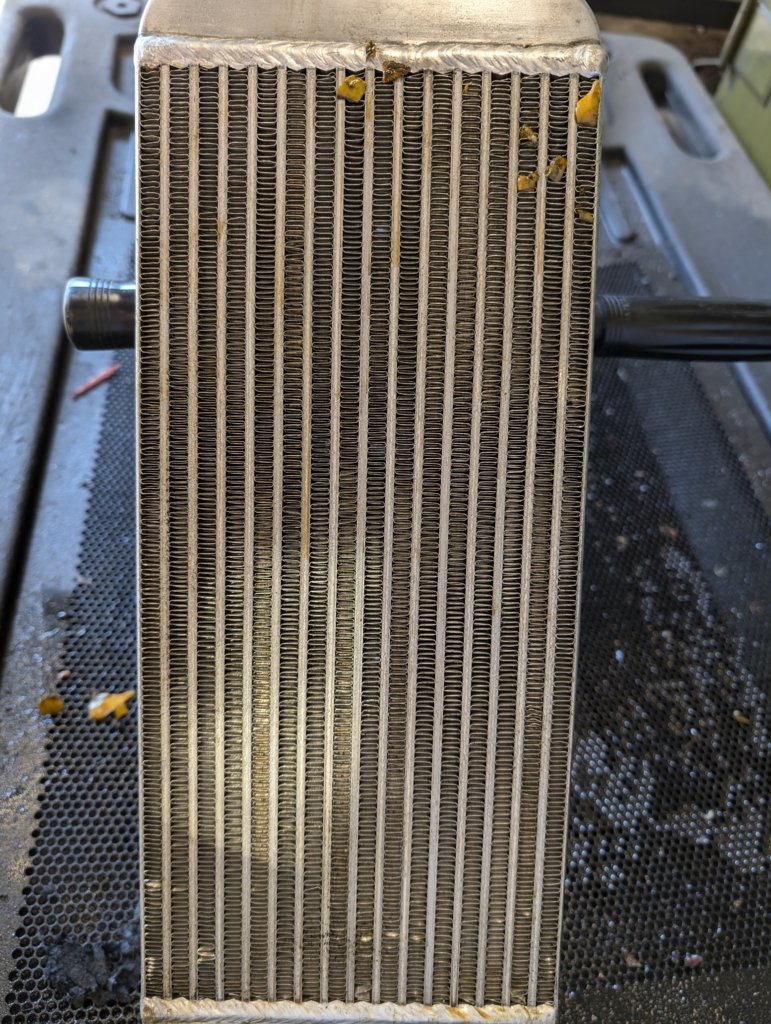 PXL_20240831_170025960.RAW-01.MP.COVER.jpg
