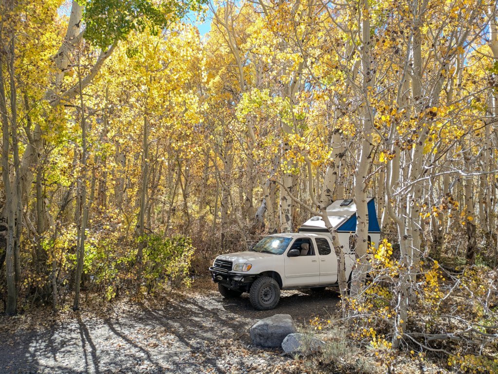 PXL_20241013_205727514.jpg