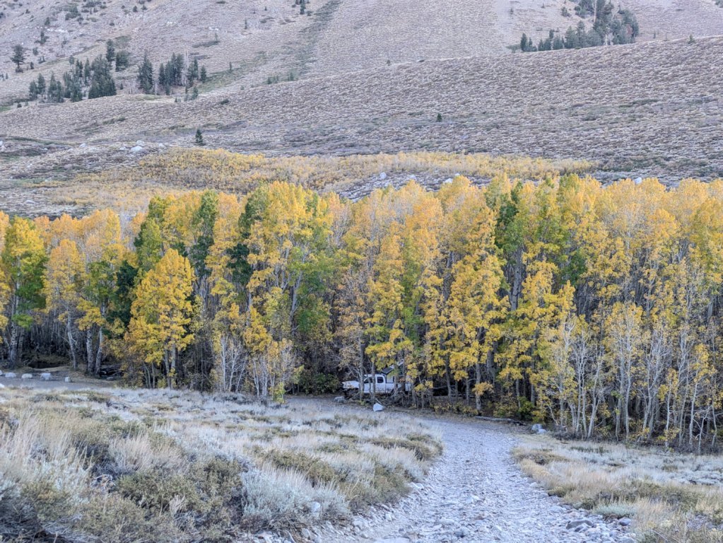 PXL_20241014_002705616.jpg