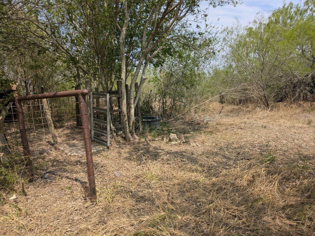 PXL_20250314_191455236.jpg