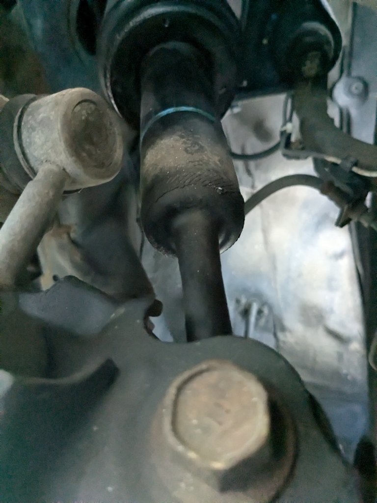 PXL_20250706_233529330.jpg