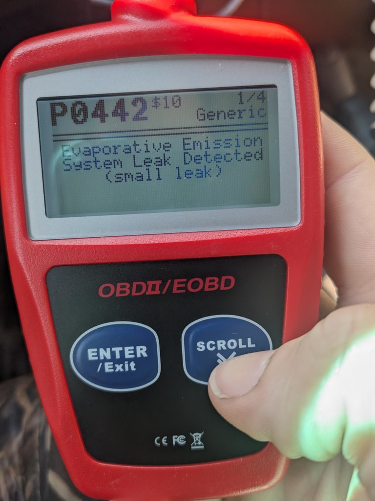 PXL_20250809_175116074.MP.jpg