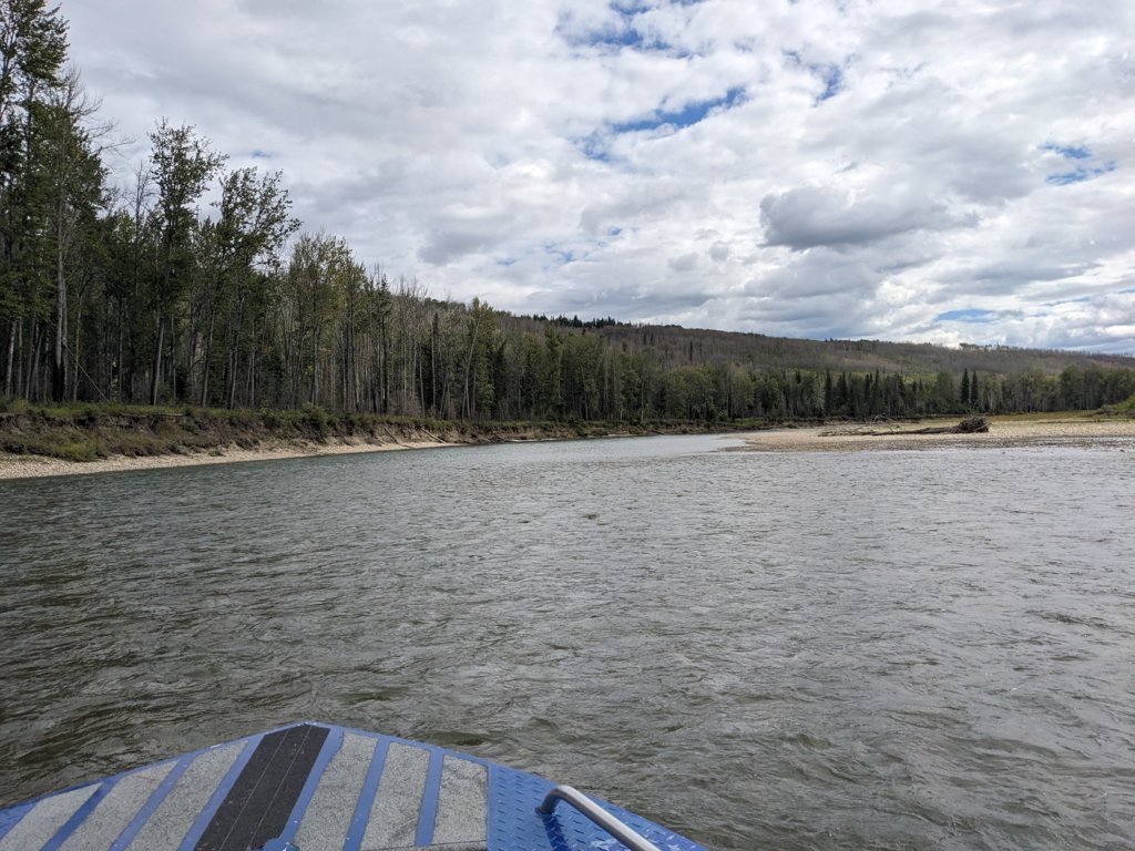PXL_20250812_175625700.jpg