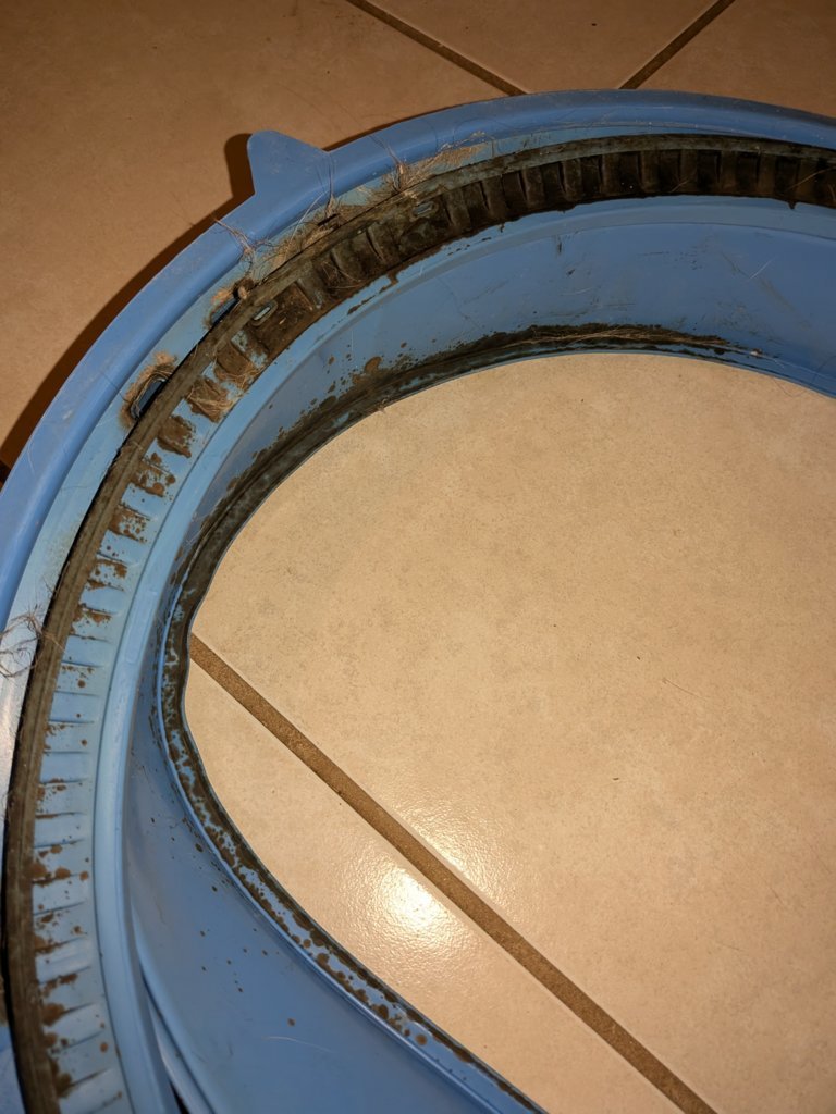 PXL_20250819_033207254.jpg