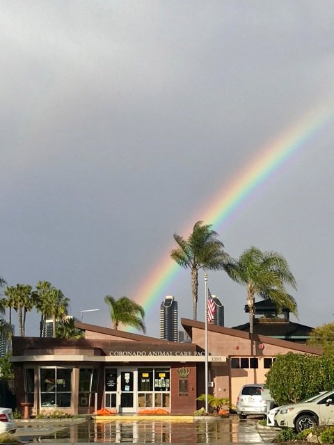 Rainbow over ACF edit.jpg