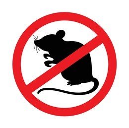 rat-mouse-icon-prohibited-isolated-260nw-1396107065~2.jpg