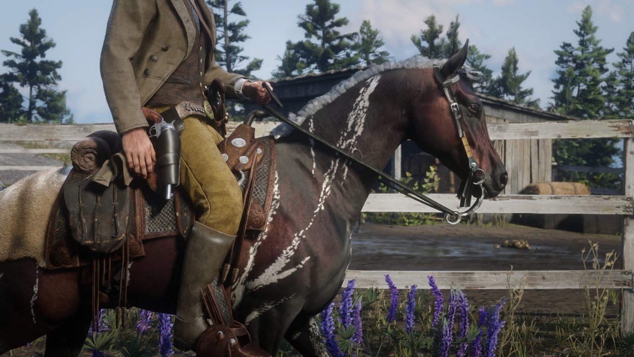 RDR2_2023_07_17_19_56_17_951.jpg