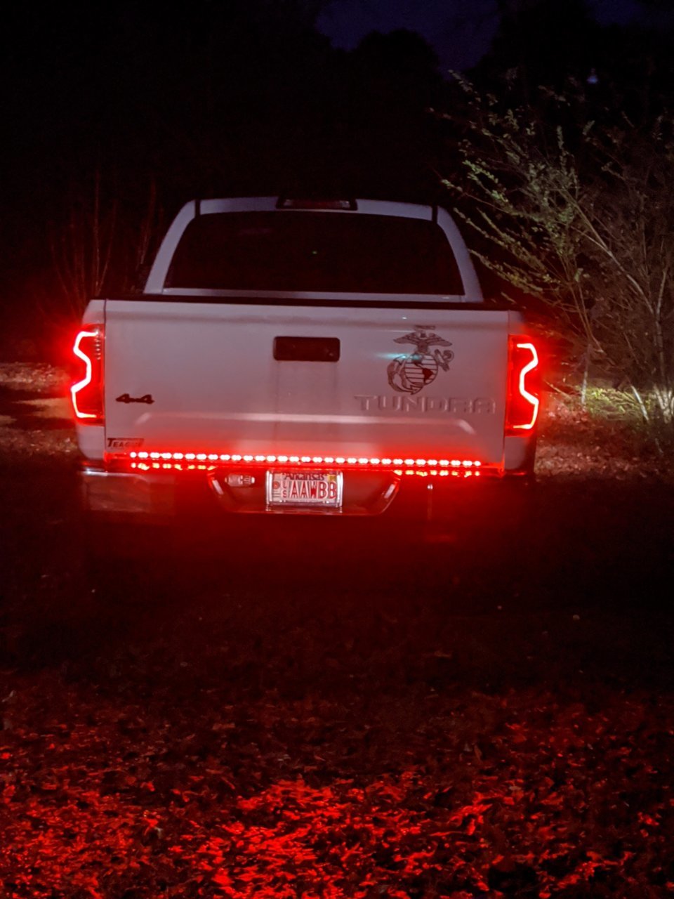 rear lights.jpg