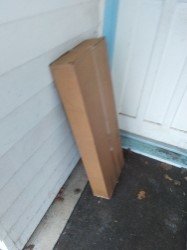 Rear-Sway-Delivery.jpg