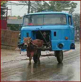 resized%20cowtruck_bce70e5bf6efe5909f2855a232add2368704e17f.jpg