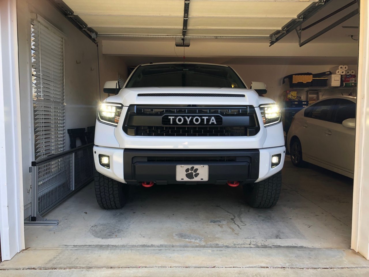 Rigid Fogs.jpg