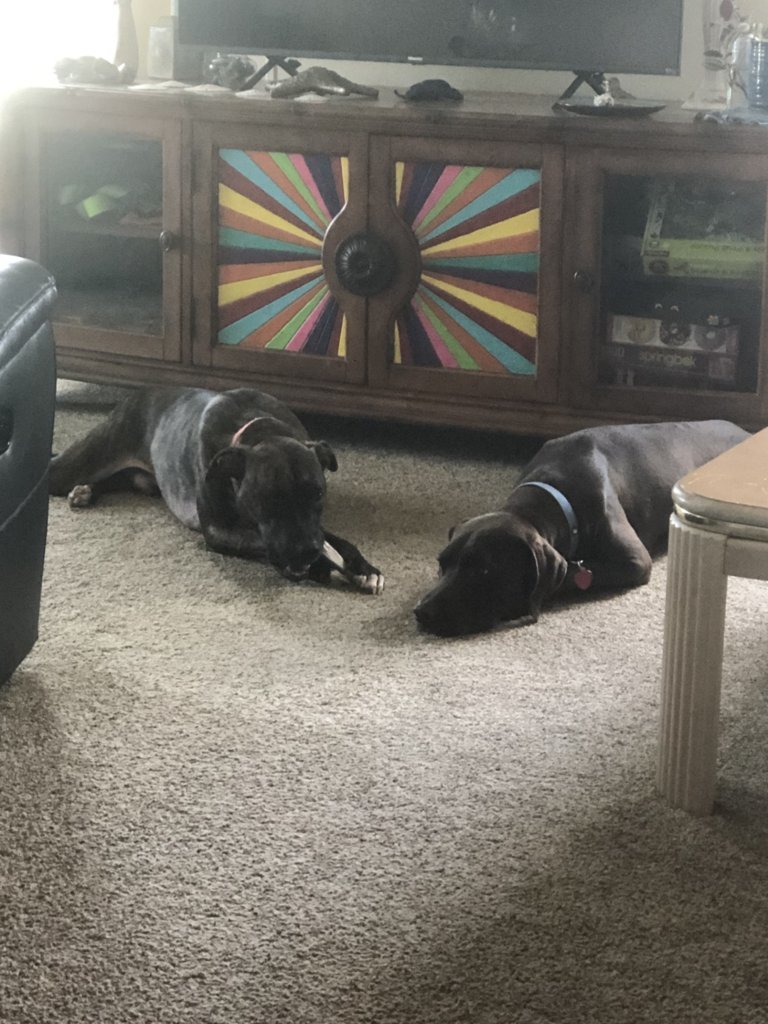 Riva and rufus.jpg