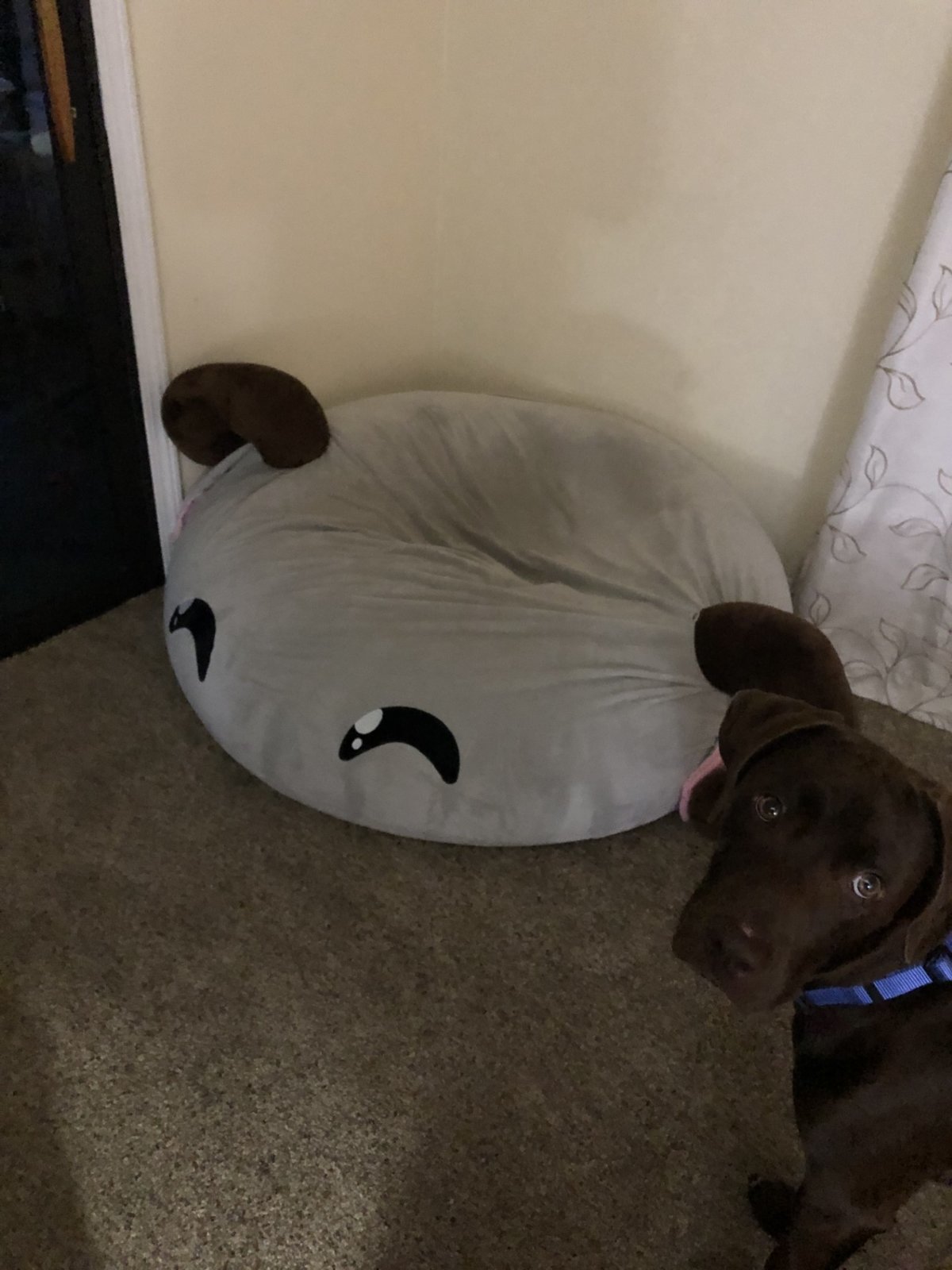 Riva bean bag 2.jpg