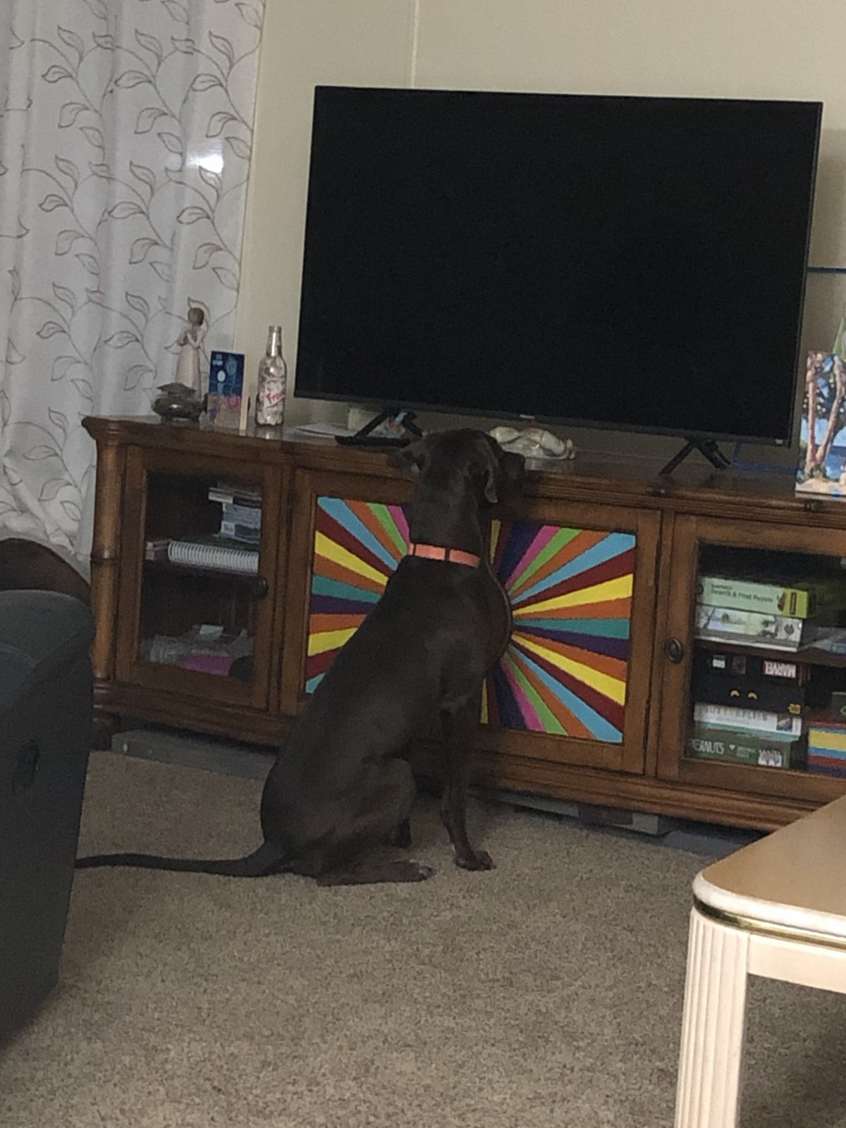 Riva searching for Riva 2.jpg