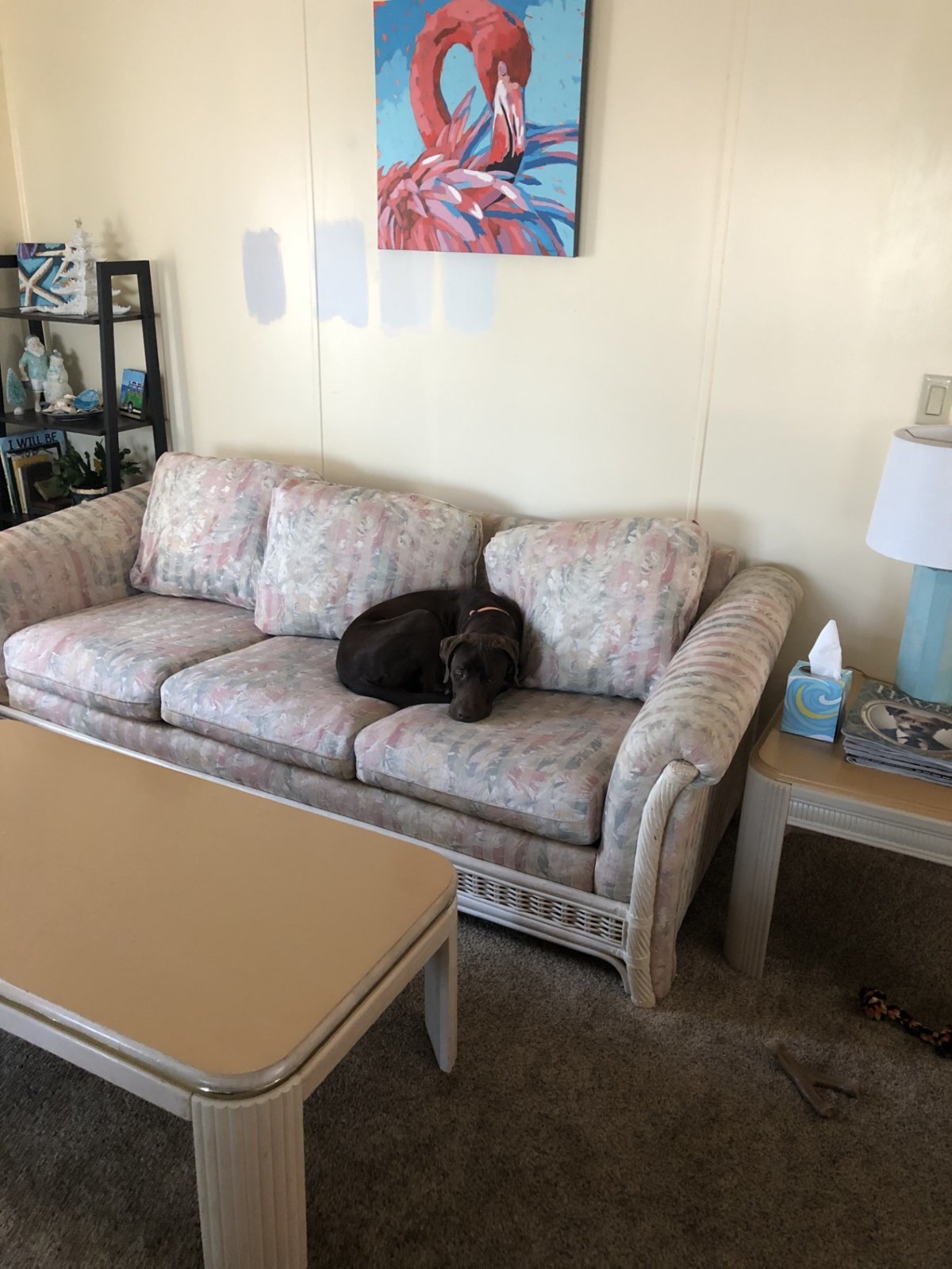 Riva sofa surf 2.jpg