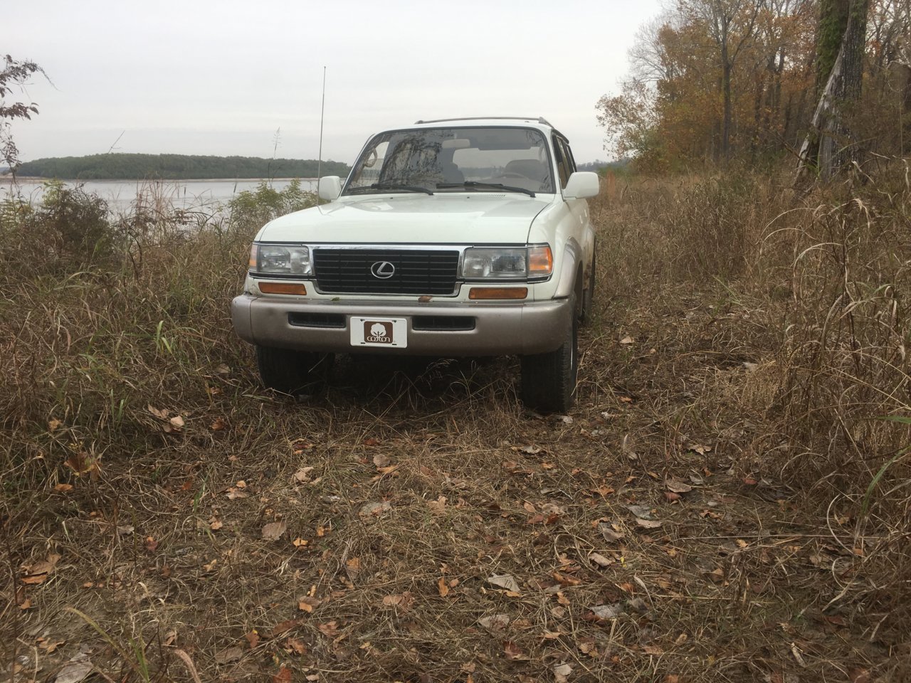 River.jpg