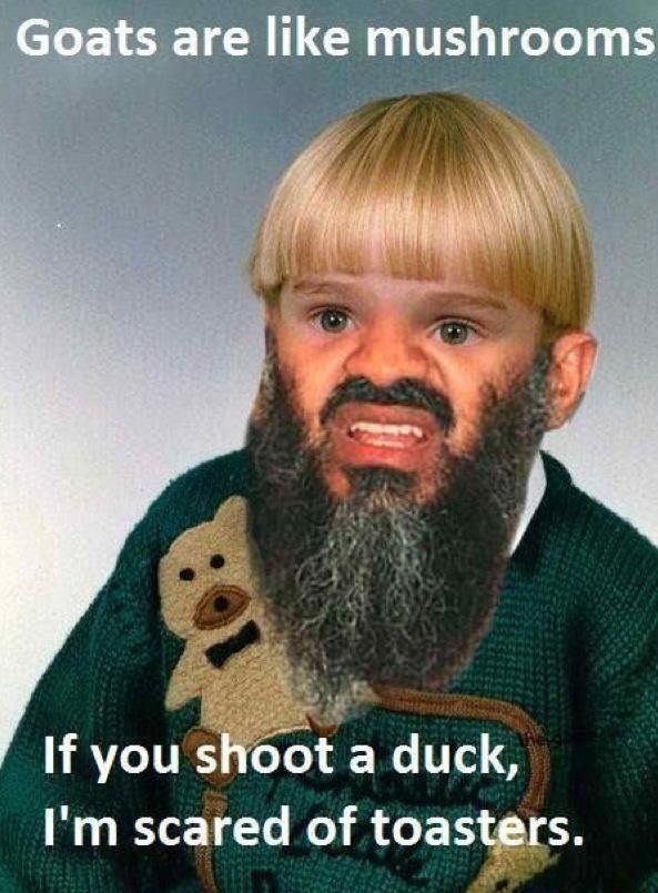 rO8qEZ0.jpg