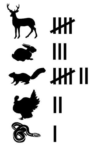 Road Kill Animal Hit Tally.jpg