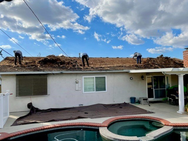 Roof1.jpg