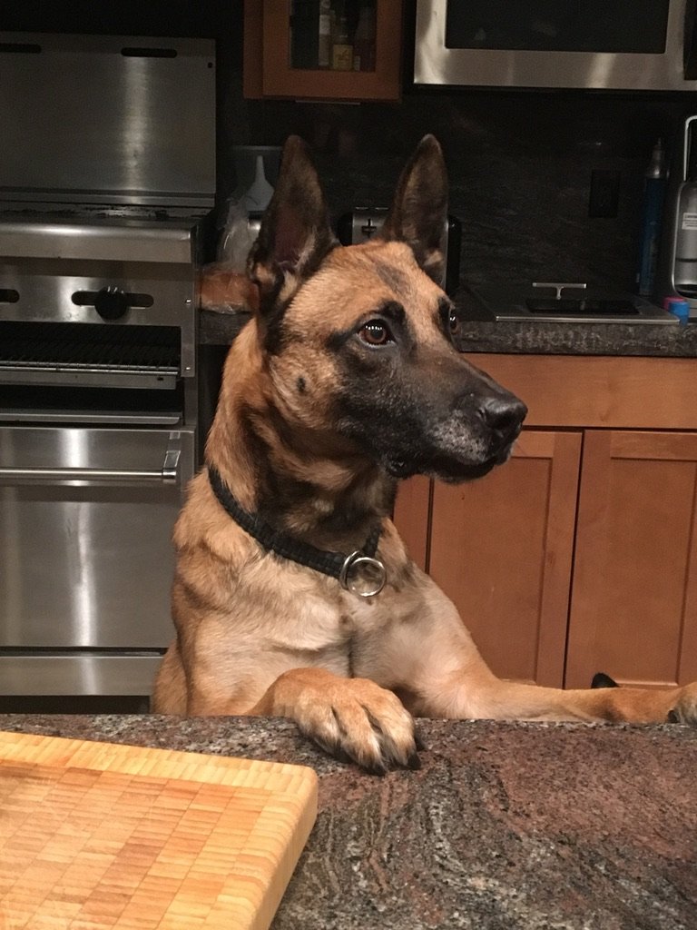 Rudy first week of retirement.jpg