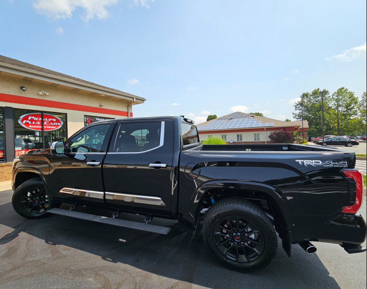 Running boards with door open  Go Rhino E1.png