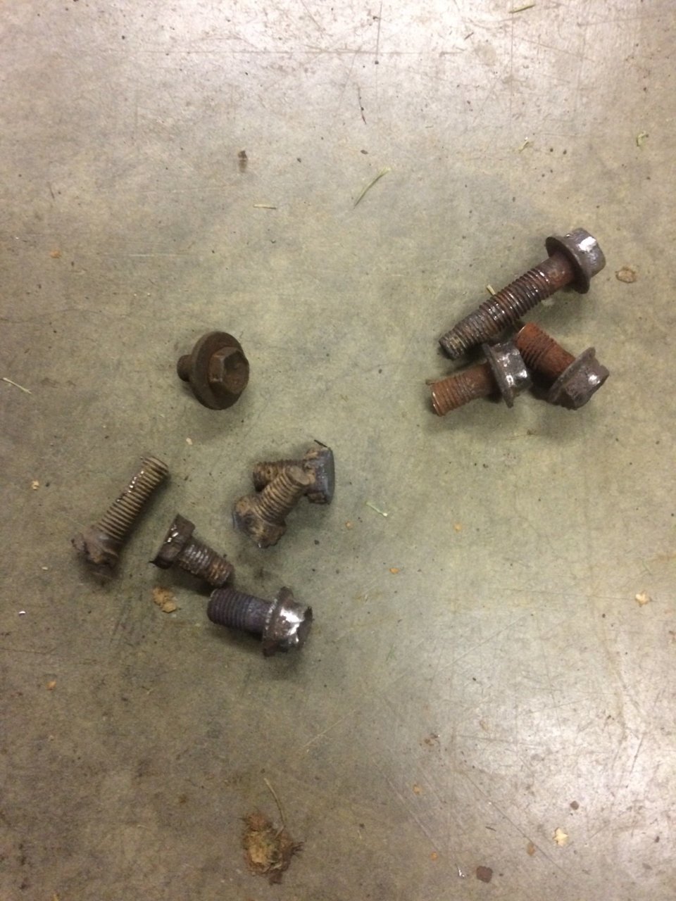 rusted bolts.jpg