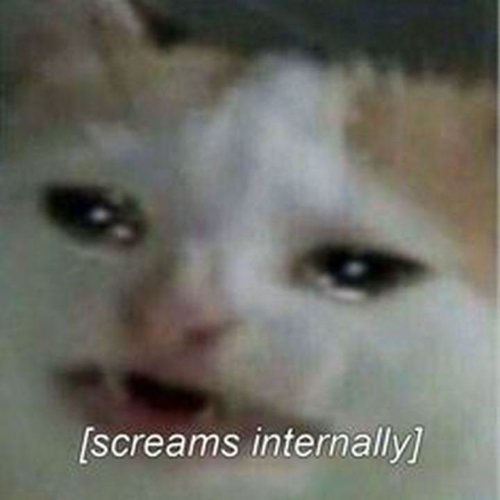 sad-memes-33.jpg