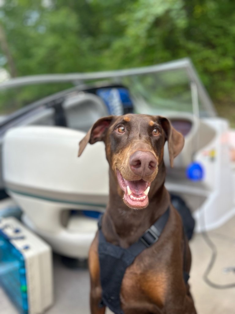 Sadie Mae.jpg
