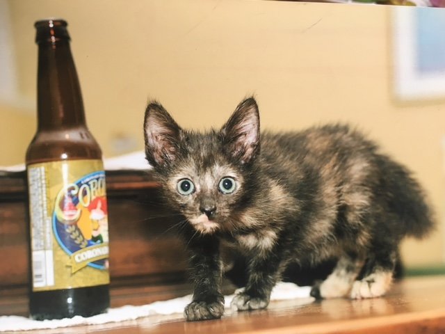 Sally (2).jpg