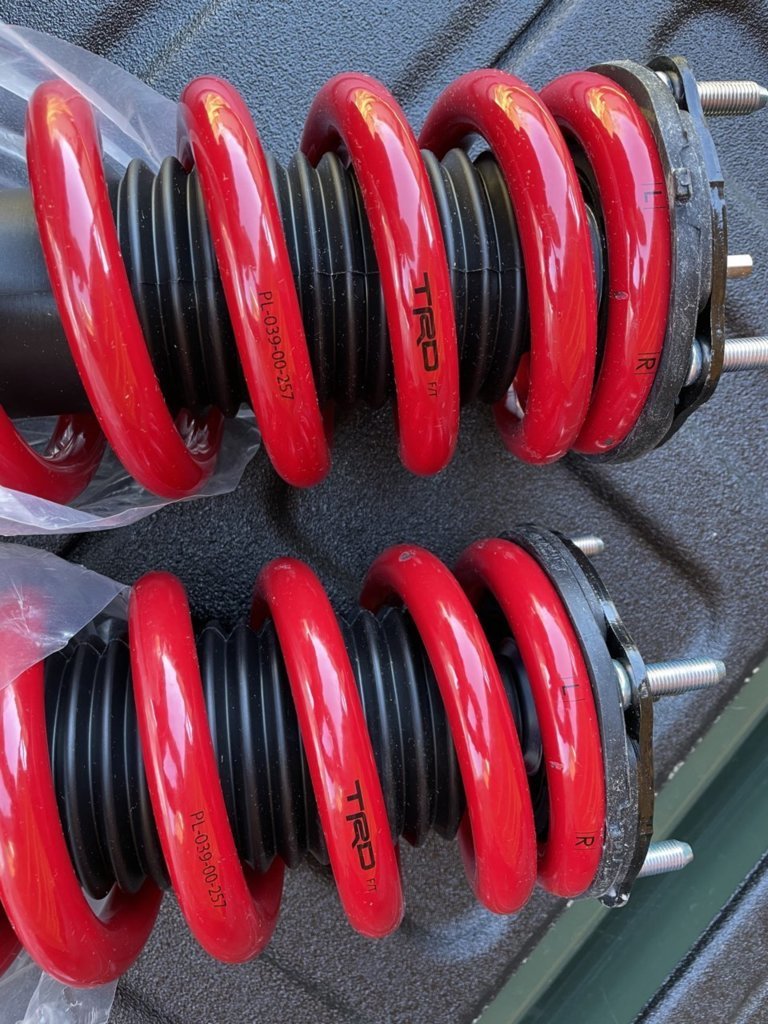 same shocks.jpg