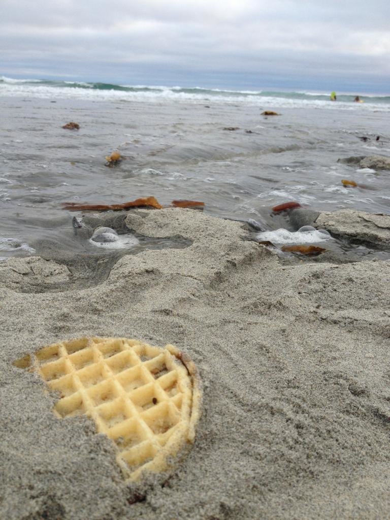 Sandy Eggo.jpg