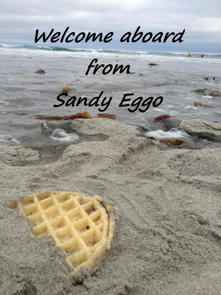 Sandy Eggo.jpg