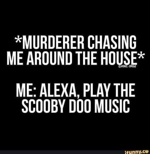 scoob.jpg