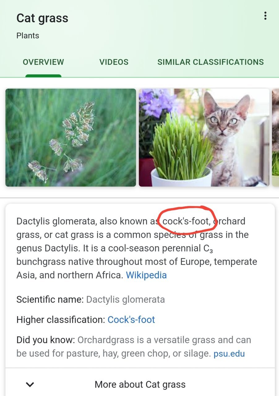 Screenshot_20190328-183820_Chrome.jpg