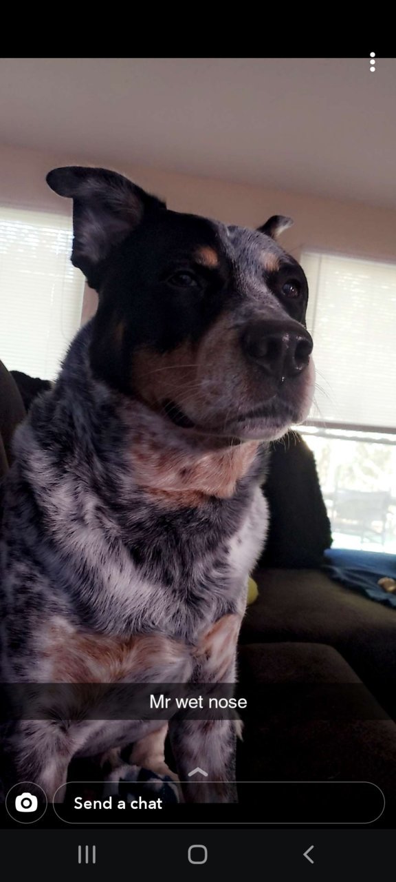 Screenshot_20201023-180335_Snapchat.jpg