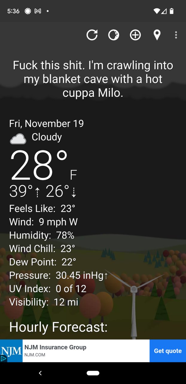 Screenshot_20211119-053655.jpg